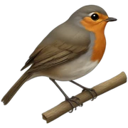 round circular european robin sticker