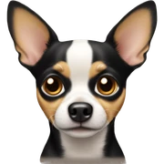Chihuahua Black tan sticker