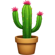 Rainbow cactus sticker