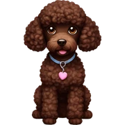 Chocolate poodle sticker