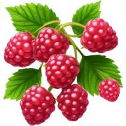 raspberry sticker