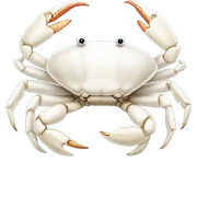 white crab sticker