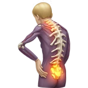 backpain anatomy sticker