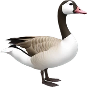 goose sticker