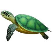 Green turtle sticker