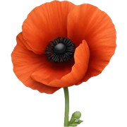 a poppy sticker