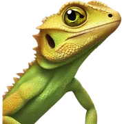 Lizard sticker