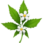 Weed flower sticker