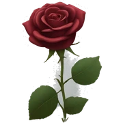 Dark red rose sticker