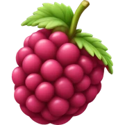 Raspberry sticker