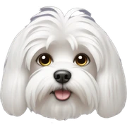 Maltese sticker