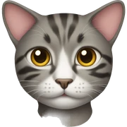 Cat sticker