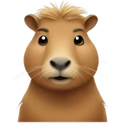 Cool and cute capybara  sticker