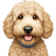 Goldendoodle  sticker