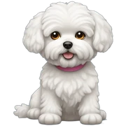 bichon maltes dog sticker
