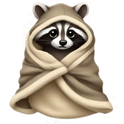 Raccoon in blanket sticker