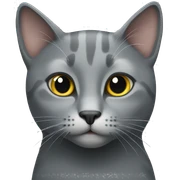 gray cat sticker