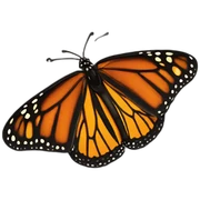 monarch butterfly sticker