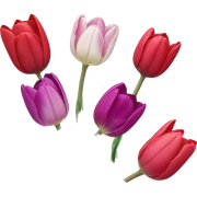 tulips sticker