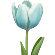 light blue tulip sticker