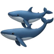 3 whales sticker