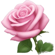 Pink rose sticker