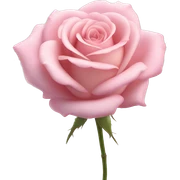 Rose "A fully bloomed pastel pink rose with delicate, silky petals that radiate a soft glow, surrounded by tiny sparkles and a faint shimmering mist." sticker