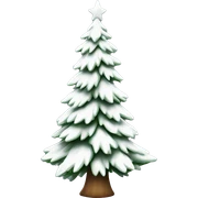 actual white fir christmas tree isolated.  sticker