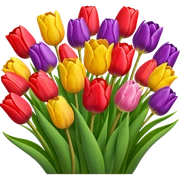 Tulip bouquet  sticker