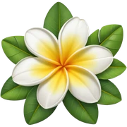 Frangipani sticker