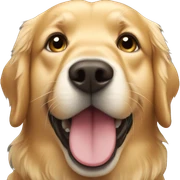 Golden retriever  sticker