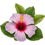 hibiscus flower sticker