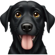 Black Dog  sticker