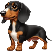 Dachshund issabella  sticker