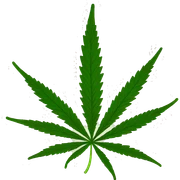 cannabis sticker