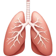 lungs sticker