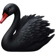 black swan sticker