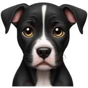 black pitbull puppy sticker