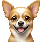 Chihuahua dog   sticker