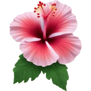Hibiscus  sticker