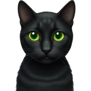 black cat green eyes sticker