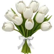 white tulip bouquet  sticker