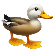 Duck  sticker