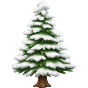  actual white fir christmas tree isolated.  sticker