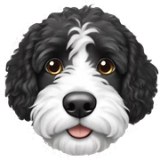 Bernedoodle sticker