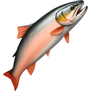 salmon sticker