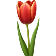 tulips  sticker