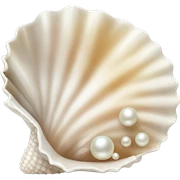 OpenSea shell with pearl sticker