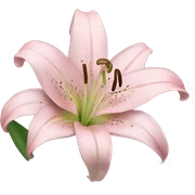 light pink lilium sticker