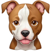 Dog pit bull color brown and white eyes brown  sticker